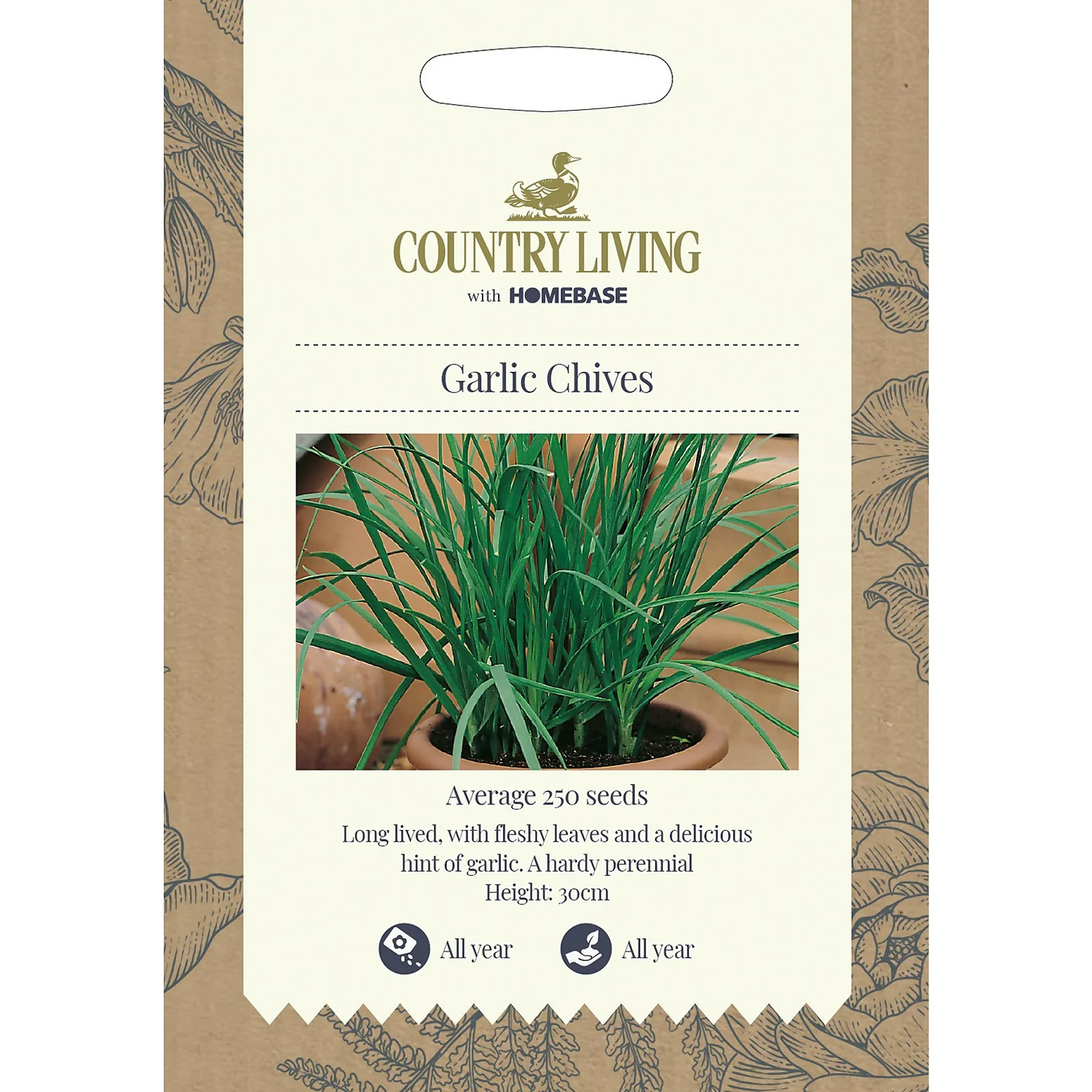 Country Living Garlic Chives Seeds 3 Country Living Garlic Chives Seeds