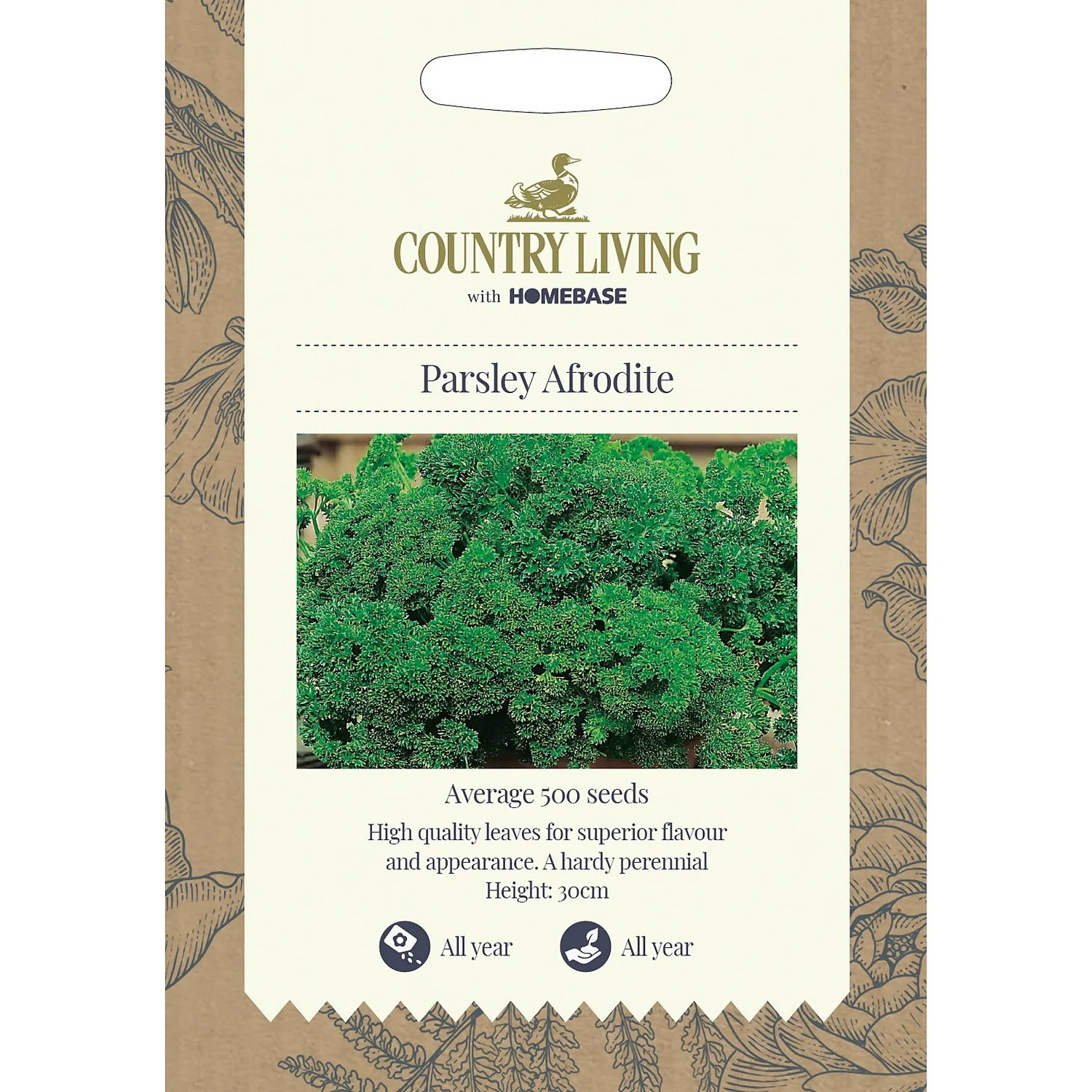 Country Living Parsley Afrodite Seeds 3 Country Living Parsley Afrodite Seeds