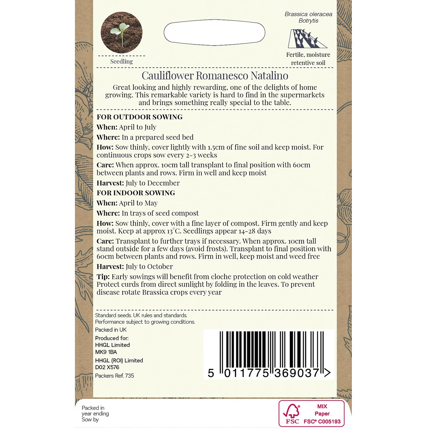 Country Living Cauliflower Romanesco Natalino Seeds 4 Country Living Cauliflower Romanesco Natalino Seeds - Image 2