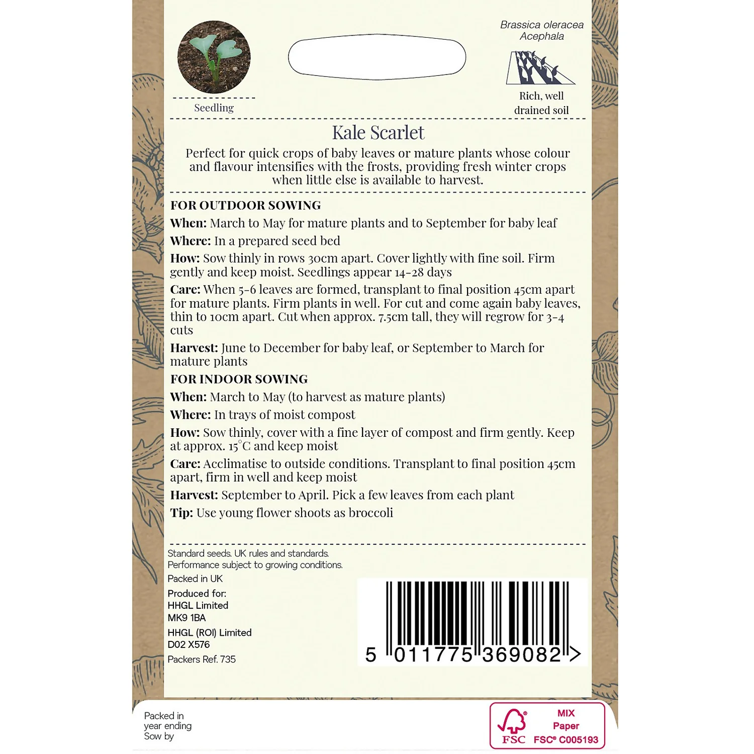 Country Living Kale Scarlet Seeds 4 Country Living Kale Scarlet Seeds - Image 2