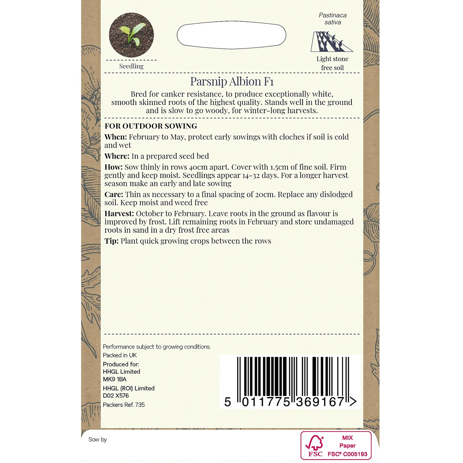 Country Living Parsnip Albion F1 Seeds 4 Country Living Parsnip Albion F1 Seeds - Image 2