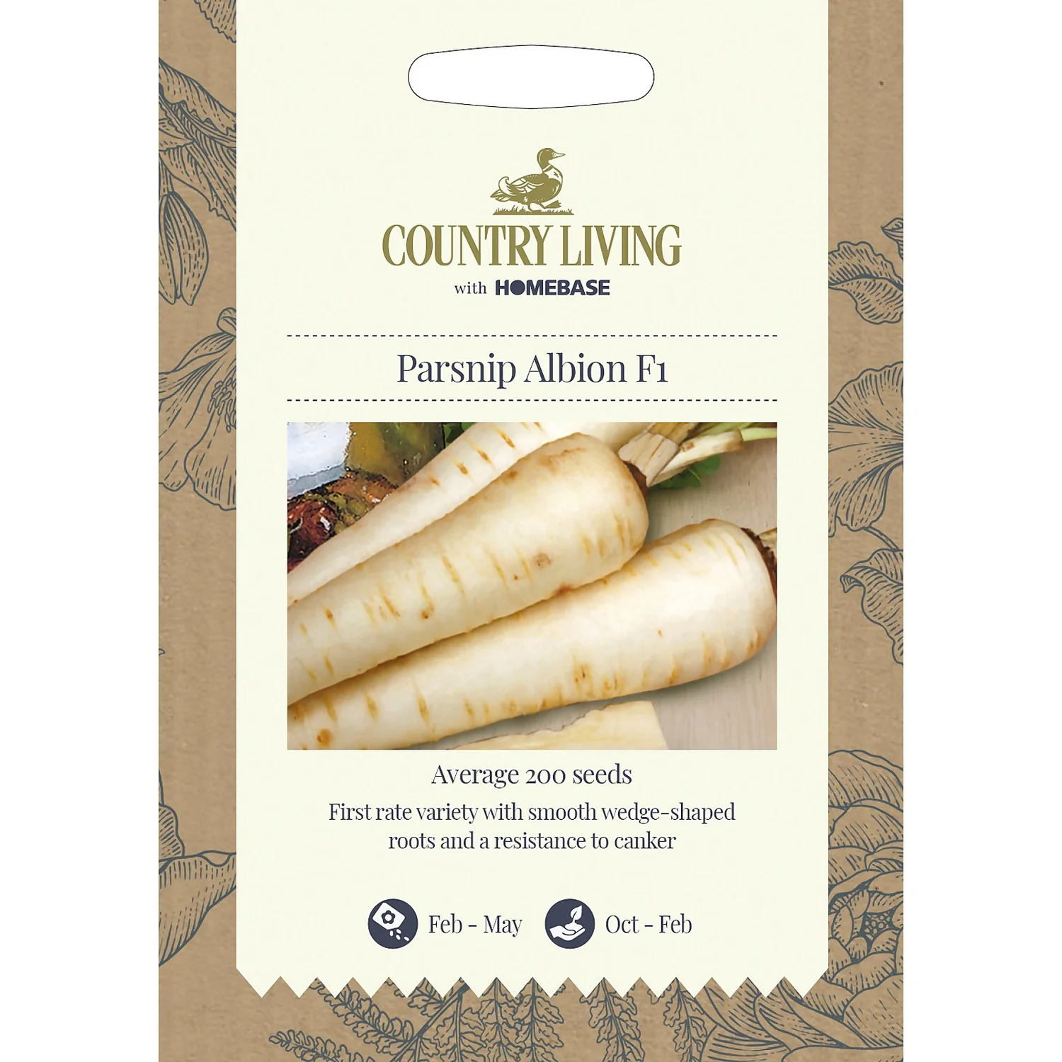 Country Living Parsnip Albion F1 Seeds 3 Country Living Parsnip Albion F1 Seeds