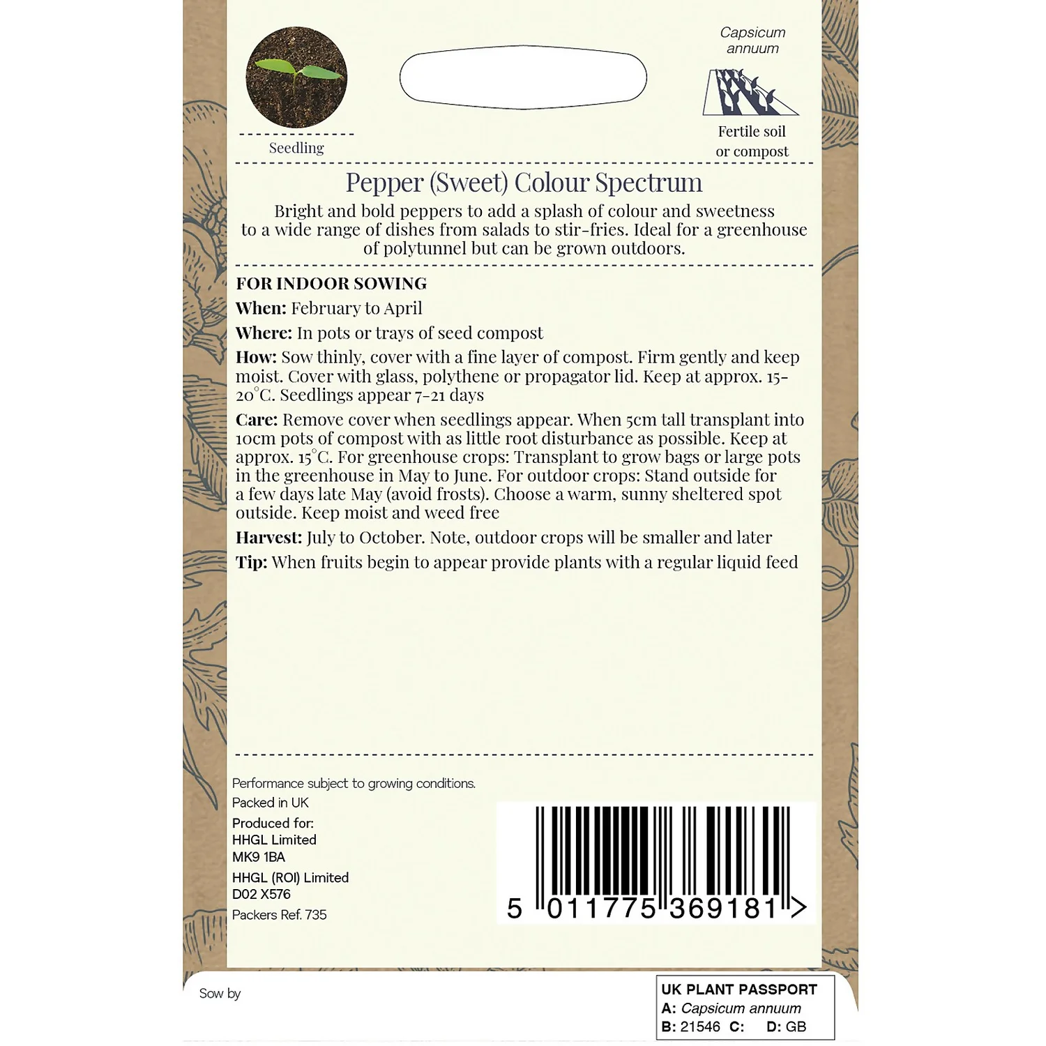 Country Living Pepper Sweet Colour Spectrum Seeds 4 Country Living Pepper Sweet Colour Spectrum Seeds - Image 2