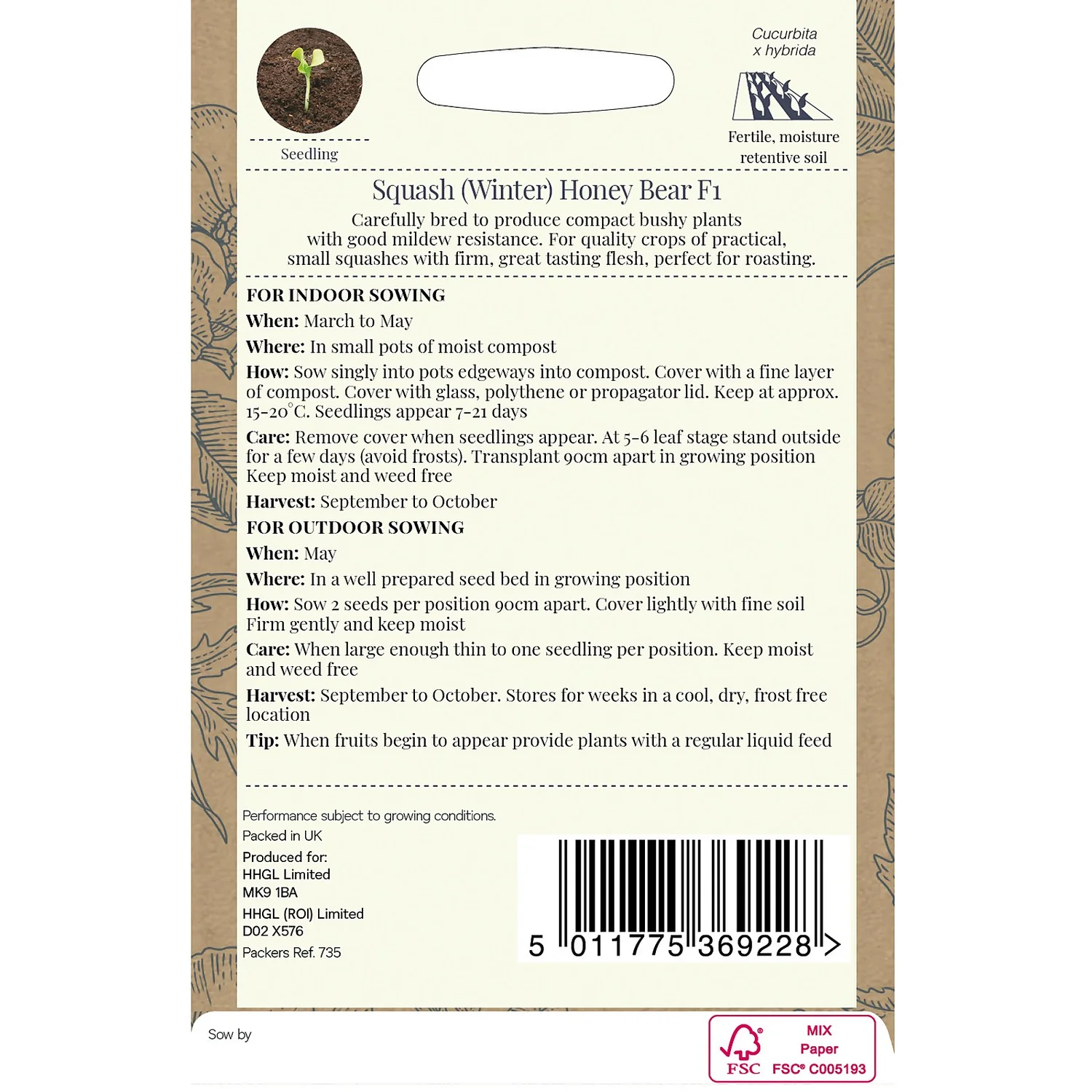 Country Living Squash Winter Honey Bear F1 Seeds 4 Country Living Squash Winter Honey Bear F1 Seeds - Image 2