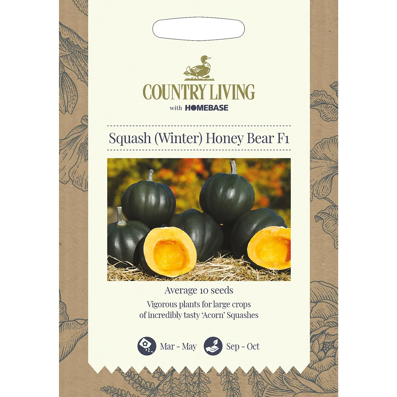Country Living Squash Winter Honey Bear F1 Seeds 3 Country Living Squash Winter Honey Bear F1 Seeds