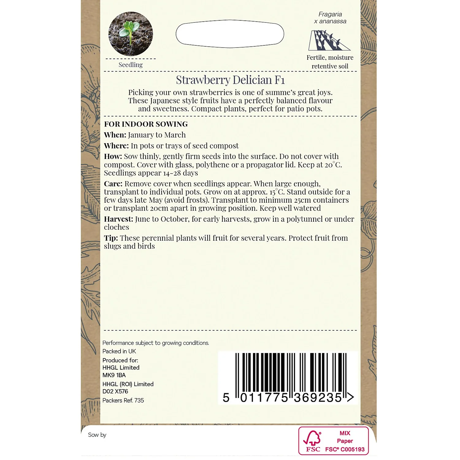 Country Living Strawberry Delician F1 Seeds 4 Country Living Strawberry Delician F1 Seeds - Image 2