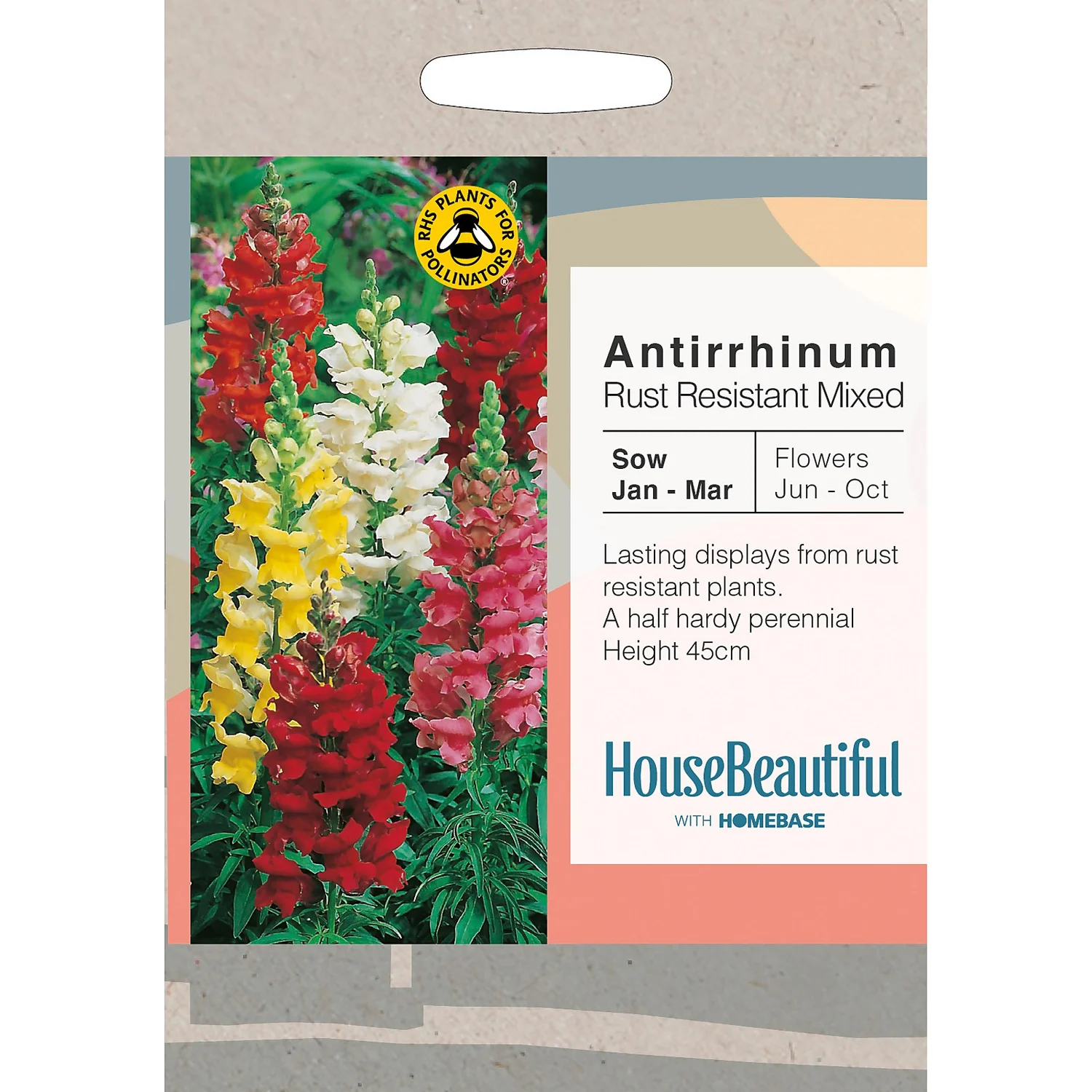 House Beautiful Antirrhinum Rust Resistant Mixed Seeds 3 House Beautiful Antirrhinum Rust Resistant Mixed Seeds