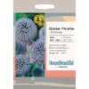 House Beautiful Echinops Globe Thistle Seeds -Elise Bloom 13118273 9224888903871688