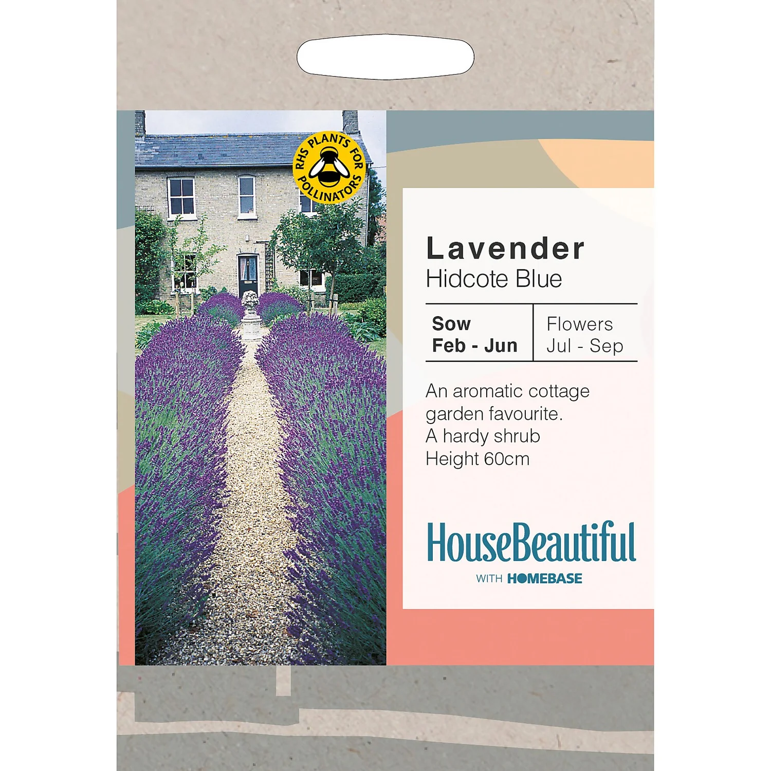 House Beautiful Lavender Hidcote Blue Seeds 3 House Beautiful Lavender Hidcote Blue Seeds