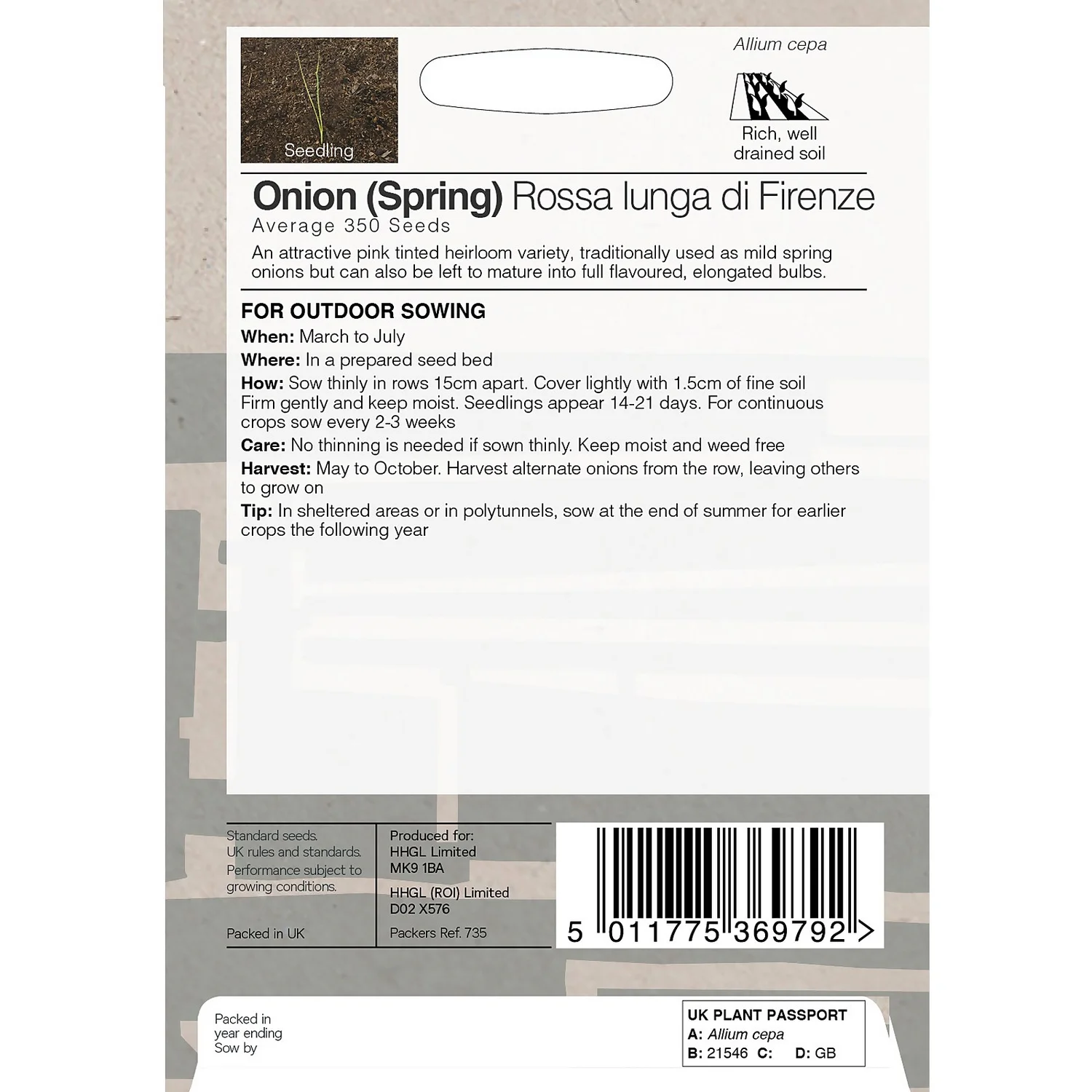 House Beautiful Onion Spring Rossa Lunga Di Firenze Seeds 4 House Beautiful Onion Spring Rossa Lunga Di Firenze Seeds - Image 2