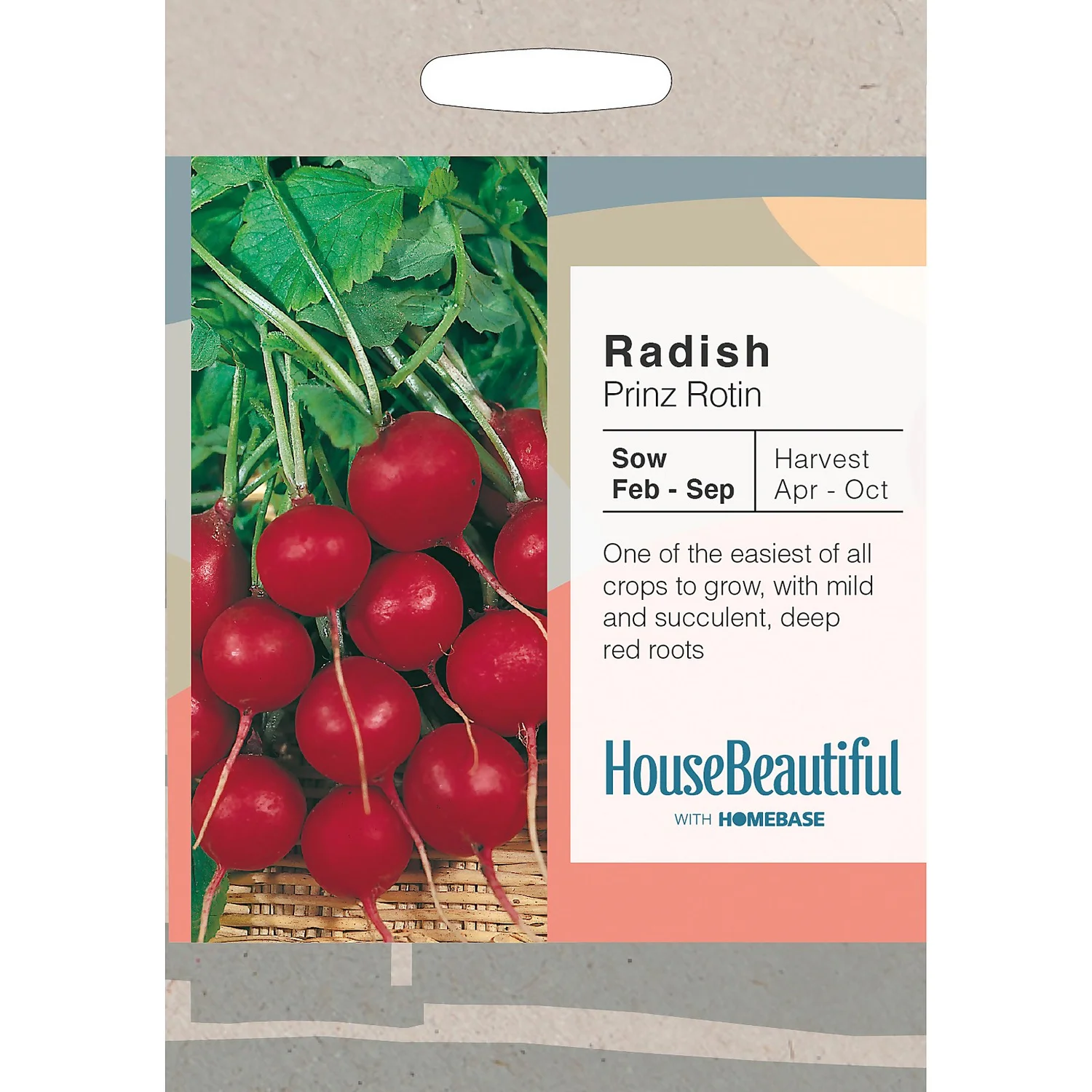 House Beautiful Radish Prinz Rotin Seeds 3 House Beautiful Radish Prinz Rotin Seeds