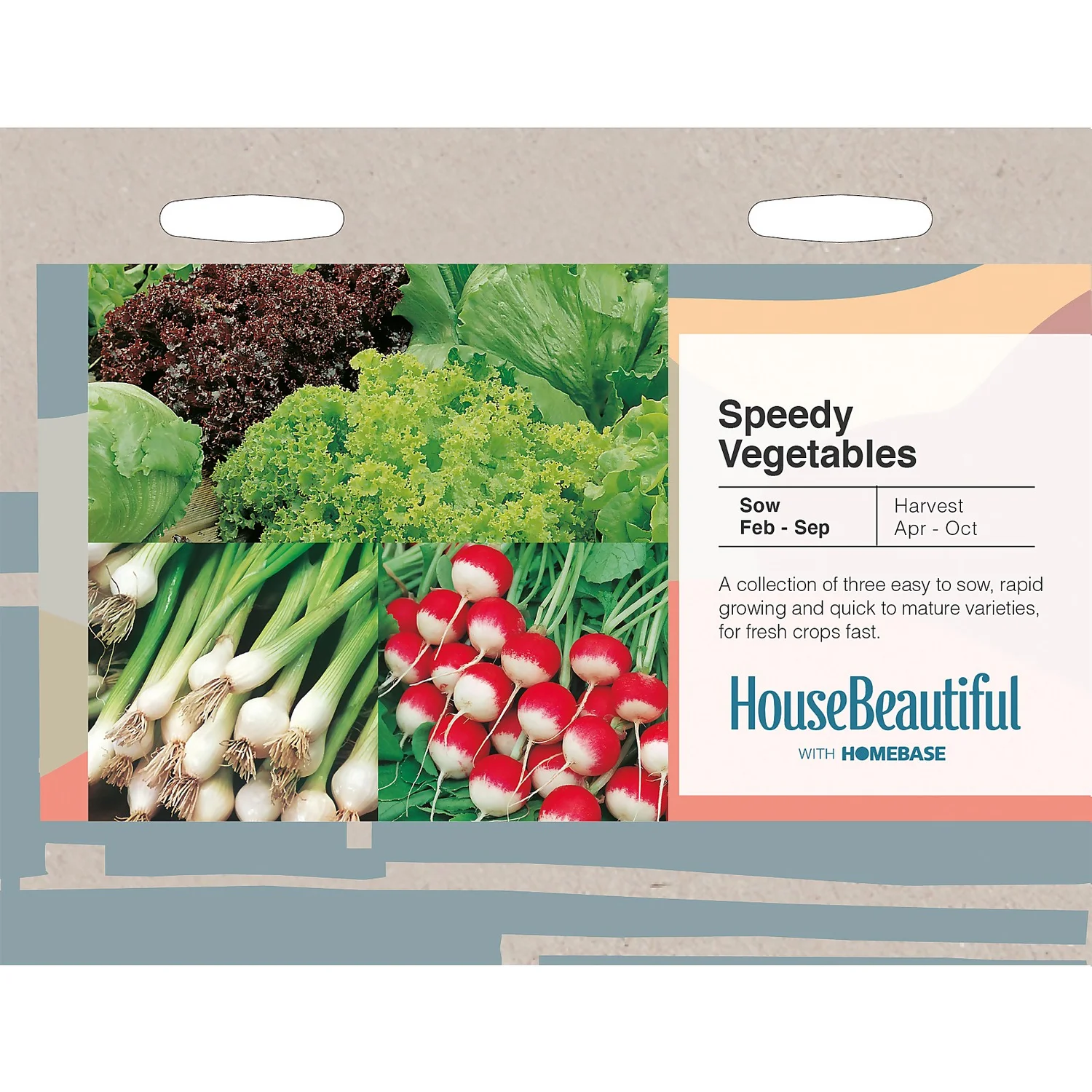House Beautiful Speedy Vegetables Seeds 3 House Beautiful Speedy Vegetables Seeds