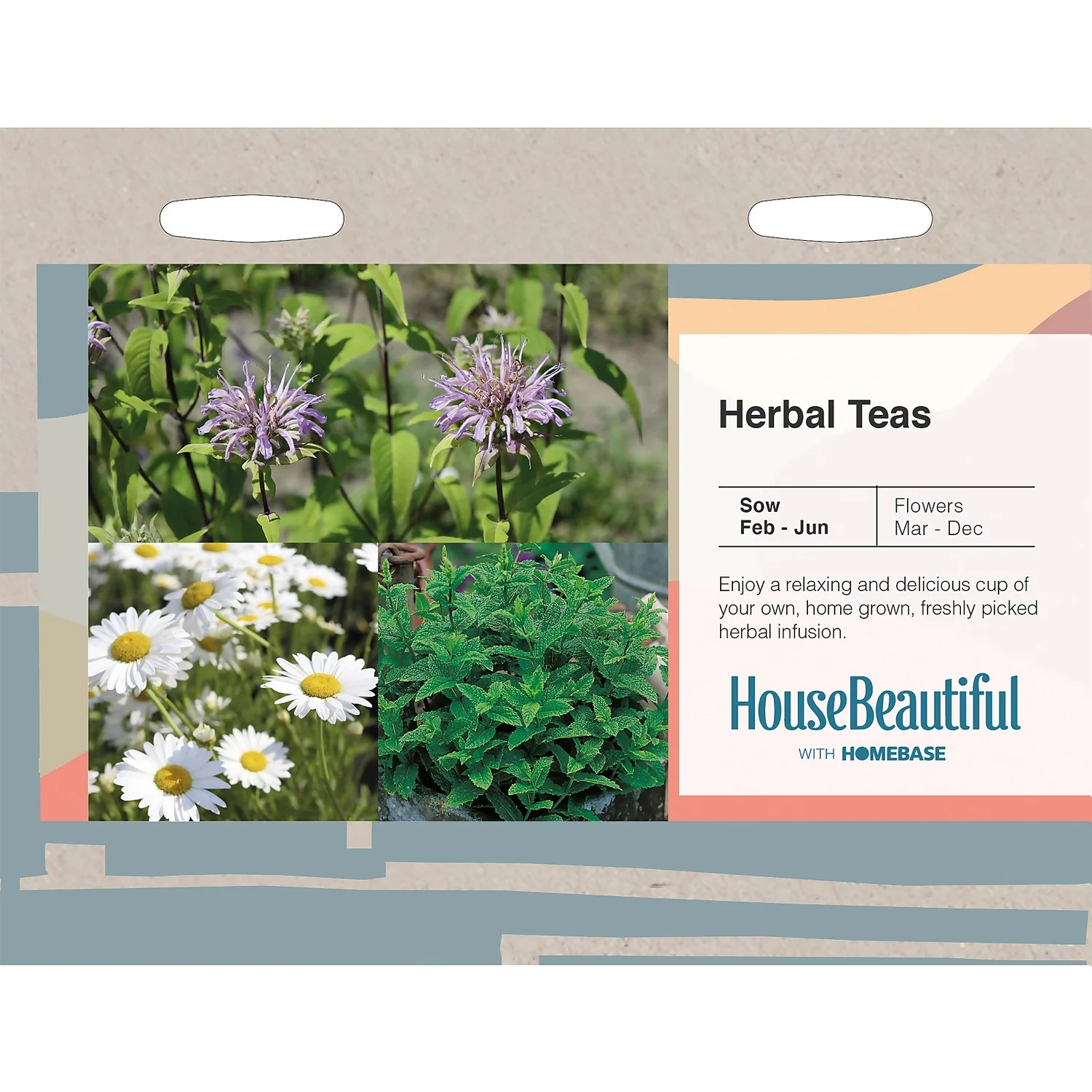 House Beautiful Herbal Teas Seeds 3 House Beautiful Herbal Teas Seeds
