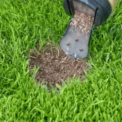 Miracle-Gro Patch Magic Dog Spot Repair Grass Seed - 130 Spots 8 Miracle-Gro Patch Magic Dog Spot Repair Grass Seed - 130 Spots -Elise Bloom 13130959 1924895338154127