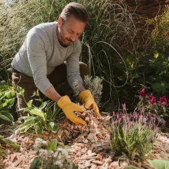 Westland Rustic Wood Chips - 60L 7 Westland Rustic Wood Chips - 60L -Elise Bloom 13280769 1174929084831075