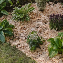 Westland Rustic Wood Chips - 60L 8 Westland Rustic Wood Chips - 60L -Elise Bloom 13280769 1564929084866478