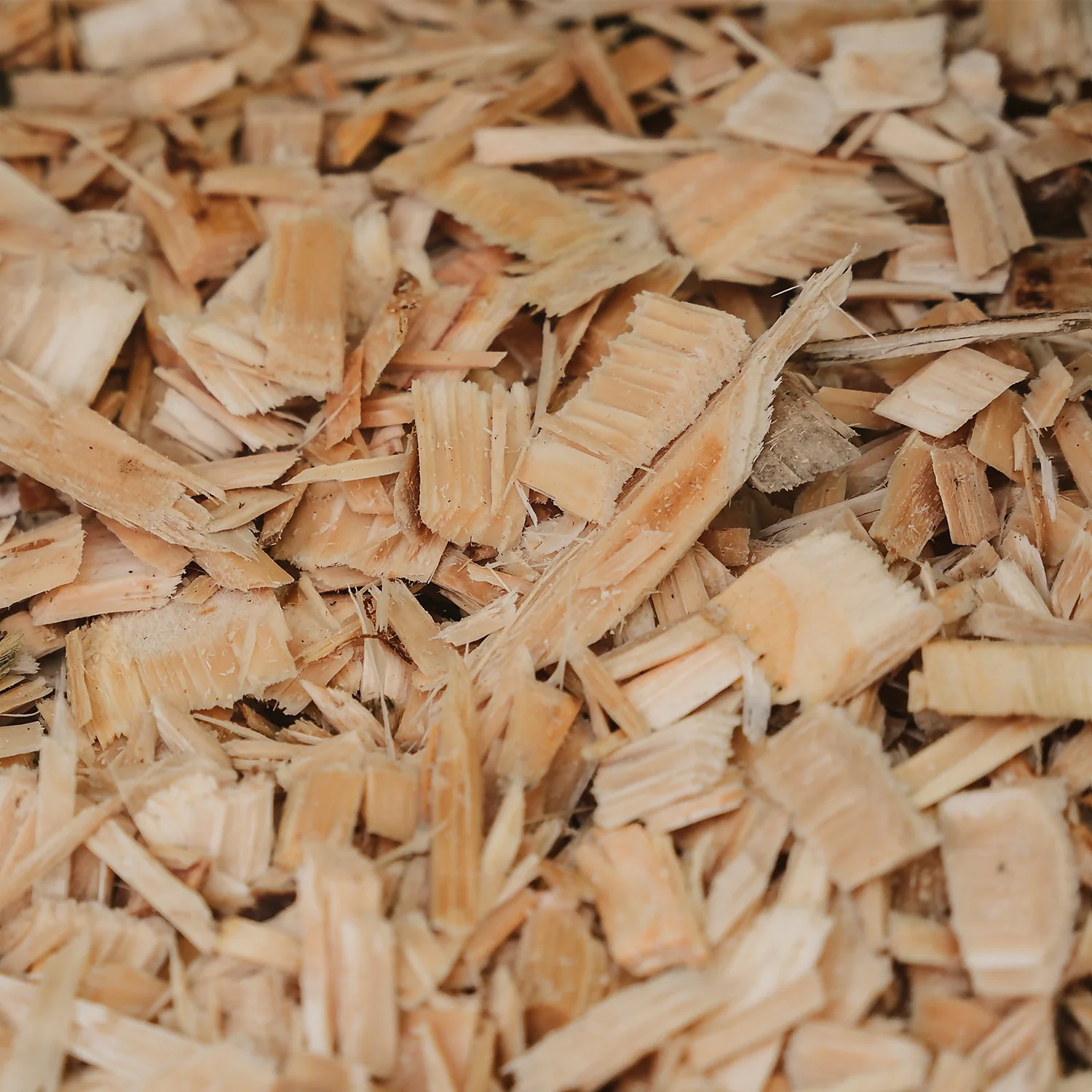 Westland Rustic Wood Chips - 60L 6 Westland Rustic Wood Chips - 60L - Image 4