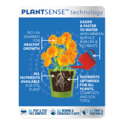 Westland Boost All Purpose Plant Food 1L -Elise Bloom 13411841 1554971590892285