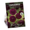 None Pompon Dahlia Rocco Flower Bulbs 1 None Pompon Dahlia Rocco Flower Bulbs -Elise Bloom 13436279 4445022421402164