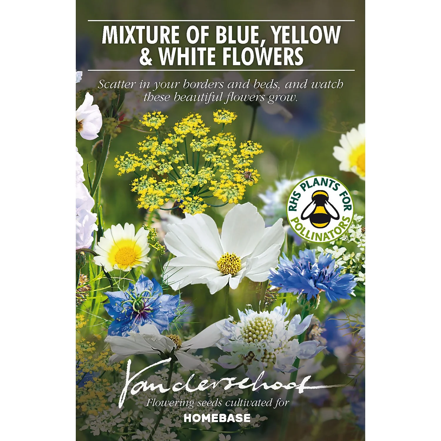 None Seed Mixture Of Blue, Yellow And White Flowers 4 None Seed Mixture Of Blue, Yellow And White Flowers - Image 2