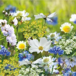 None Seed Mixture Of Blue, Yellow And White Flowers 7 None Seed Mixture Of Blue, Yellow And White Flowers -Elise Bloom 13436284 5255022448178739