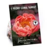 None Peony Lactiflora Coral Sunset Flower Bulb 1 None Peony Lactiflora Coral Sunset Flower Bulb -Elise Bloom 13436289 1085022447926181