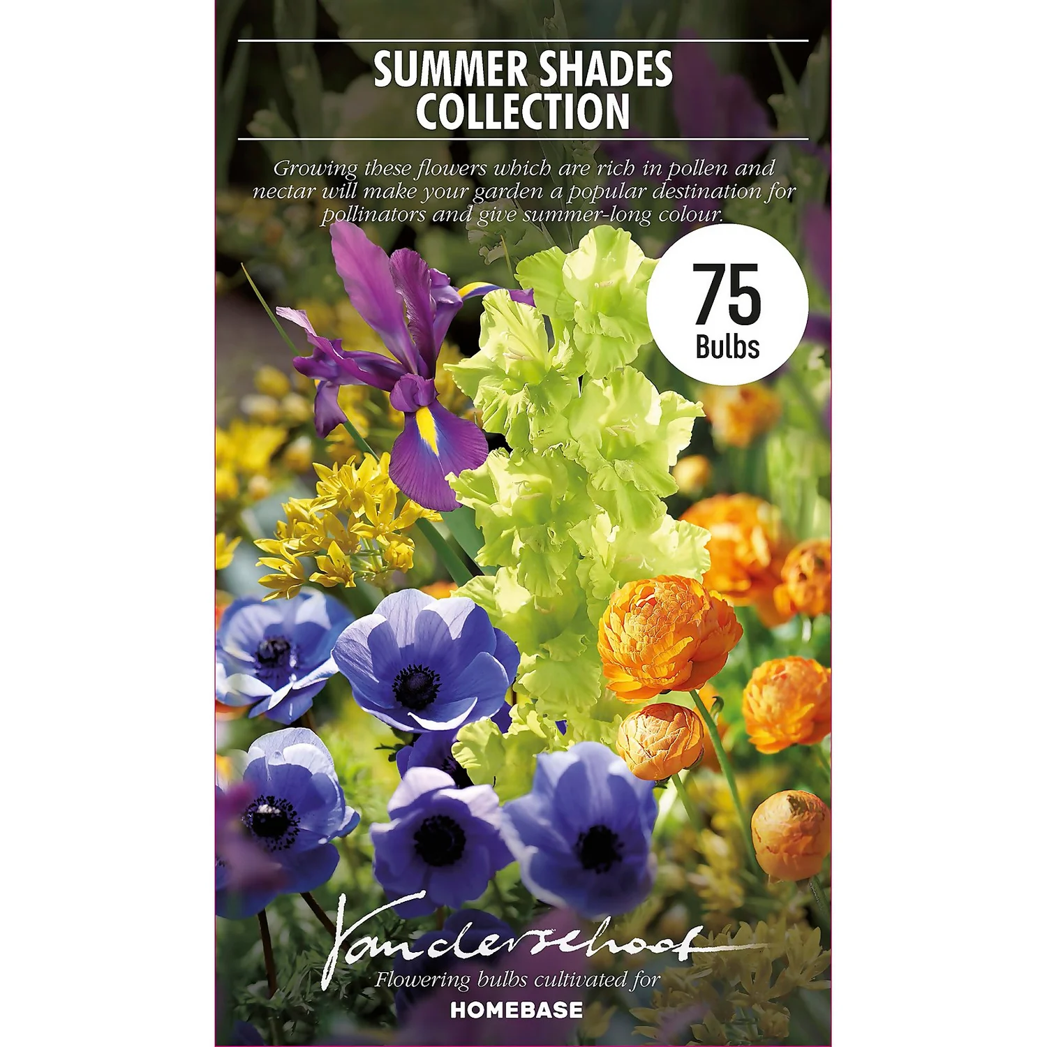 None Summer Shades Flower Bulb Collection 4 None Summer Shades Flower Bulb Collection - Image 2