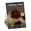 Chocolate Cosmos Flower Bulb 1 Chocolate Cosmos Flower Bulb -Elise Bloom 13436305 2265022448048608