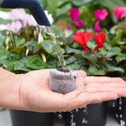 Coco & Coir Seed Germination Dots - 40mm -Elise Bloom 13487129 3894919981363337