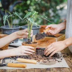 Coco & Coir Round Fibre Pot - 20cm -Elise Bloom 13487130 4344931201157651