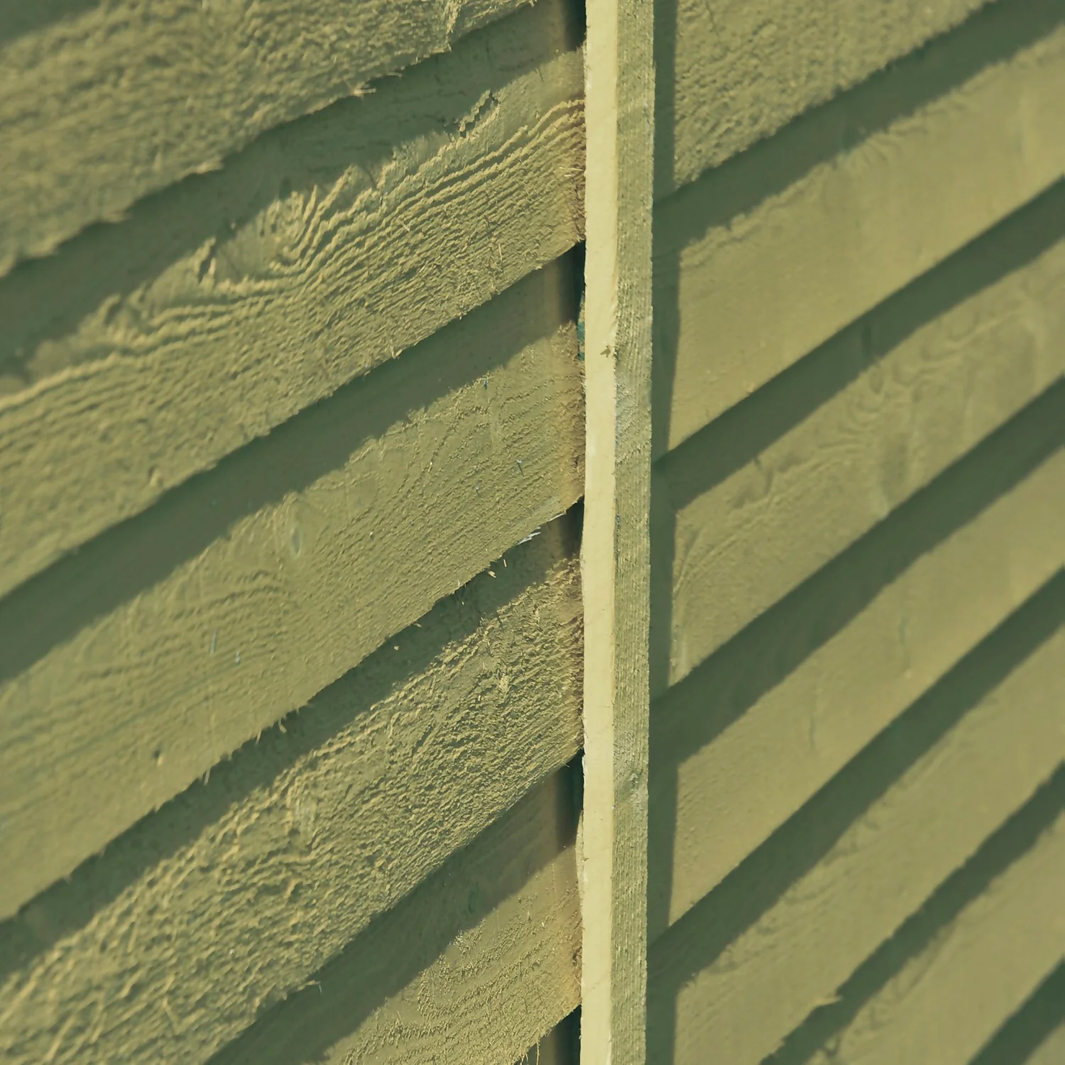 Shire 8x6ft Pressure Treated Overlap Garden Shed 8 Shire 8x6ft Pressure Treated Overlap Garden Shed - Image 6