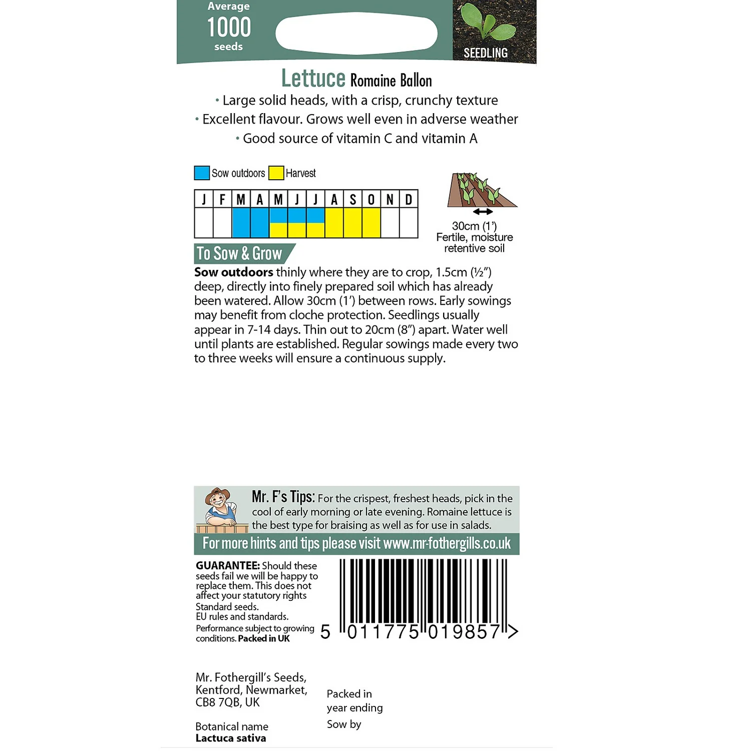 Mr. Fothergill's Lettuce Romaine Ballon Seeds 5 Mr. Fothergill's Lettuce Romaine Ballon Seeds - Image 3