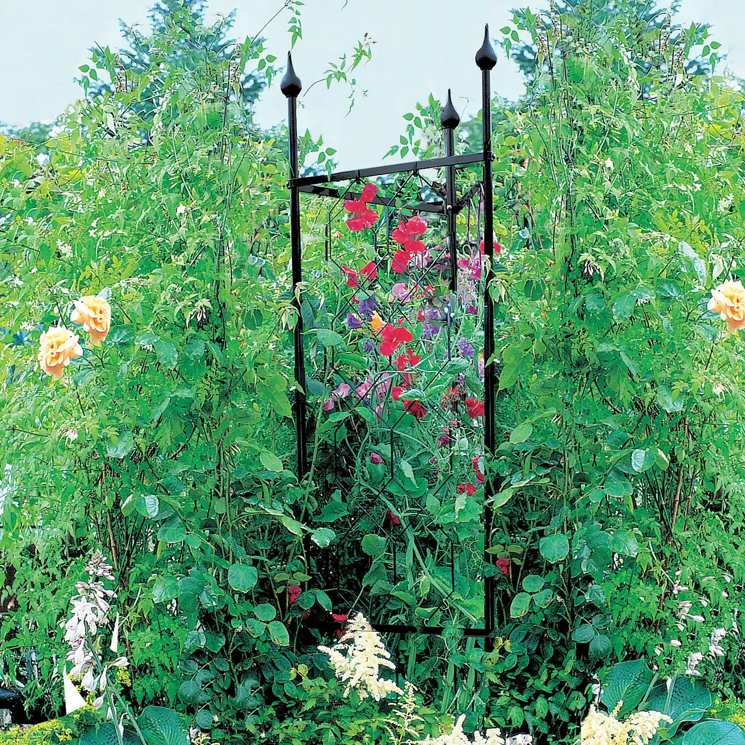 Agriframes Tricorn Decorative Garden Obelisk - Black 4 Agriframes Tricorn Decorative Garden Obelisk - Black - Image 2