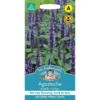 Mr. Fothergill's Agastache Astello Indigo Seeds -Elise Bloom 13890256 6944971031500837