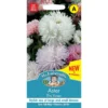 Mr. Fothergill's Aster The Roses Seeds 1 Mr. Fothergill's Aster The Roses Seeds -Elise Bloom 13890257 1544971031655649
