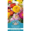 Mr. Fothergill's Helichrysum Strawflower Mix Seeds -Elise Bloom 13890259 1484971031372404