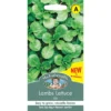 Mr. Fothergill's Lambs Lettuce Vit Seeds -Elise Bloom 13890264 1864971031239753