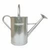 Galvanized Watering Can - 9L -Elise Bloom 13976731 1484993048165425