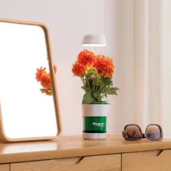 JML HygroPod - LED Grow Light & Self-Watering Plant Pot 7 JML HygroPod - LED Grow Light & Self-Watering Plant Pot -Elise Bloom 14005848 1565000841266625