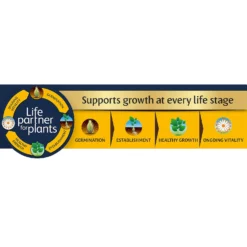 Westland Peat Free Multi Purpose Compost With John Innes 10L 7 Westland Peat Free Multi Purpose Compost With John Innes 10L -Elise Bloom 14013775 1405003754352752