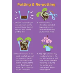 Westland Orchid Potting Mix Peat Free 8L -Elise Bloom 14013784 4815003754410304