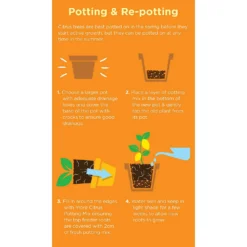Westland Citrus Potting Mix Peat Free 8L -Elise Bloom 14013785 1645003754507372