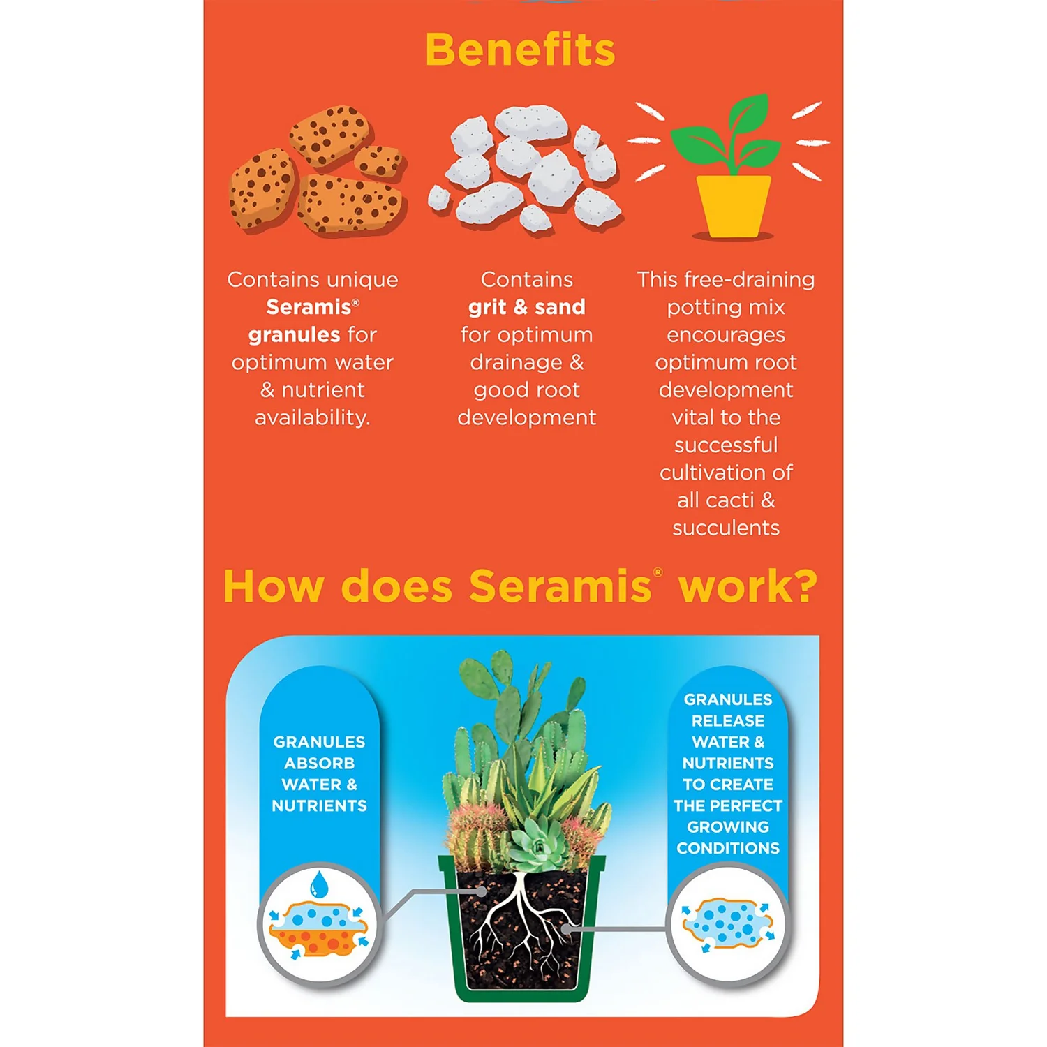 Westland Cacti & Succulent Potting Mix Peat Free 4L 4 Westland Cacti & Succulent Potting Mix Peat Free 4L - Image 2