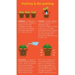 Westland Cacti & Succulent Potting Mix Peat Free 4L 7 Westland Cacti & Succulent Potting Mix Peat Free 4L -Elise Bloom 14013786 1245003754031248