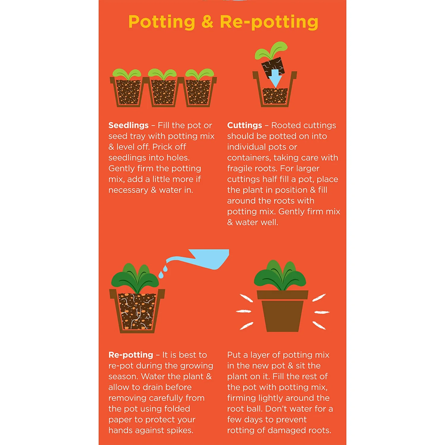 Westland Cacti & Succulent Potting Mix Peat Free 4L 5 Westland Cacti & Succulent Potting Mix Peat Free 4L - Image 3