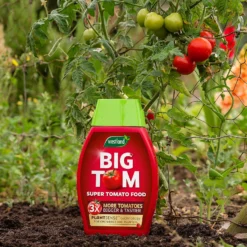 Westland Big Tom Super Tomato Food -Elise Bloom 14013789 1265003754036822