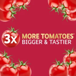 Westland Big Tom Super Tomato Food -Elise Bloom 14013789 2045003754122724