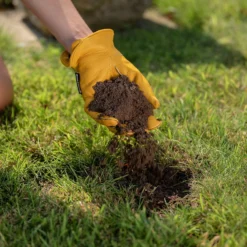 Gro-Sure Lawn Seeding Soil 25L -Elise Bloom 14013795 6885003754801318