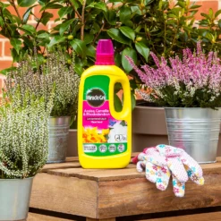 Miracle-Gro Azalea, Camellia & Rhododendron Concentrated Liquid Plant Food 800ml 7 Miracle-Gro Azalea, Camellia & Rhododendron Concentrated Liquid Plant Food 800ml -Elise Bloom 14014511 4265034802995402
