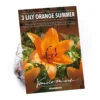 Lilium Orange Summer 2 Lilium Orange Summer -Elise Bloom 14194647 2695015428837869